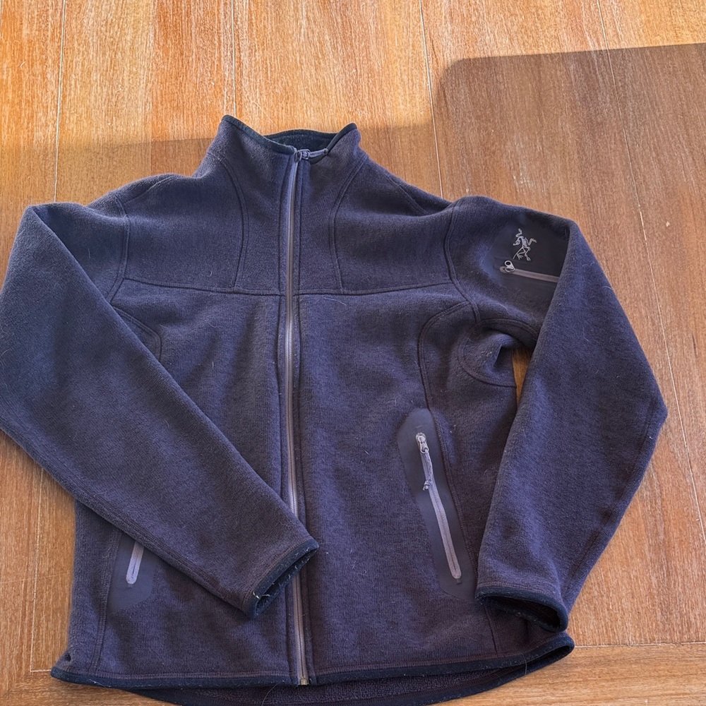 Arc'teryx Purple Jacket